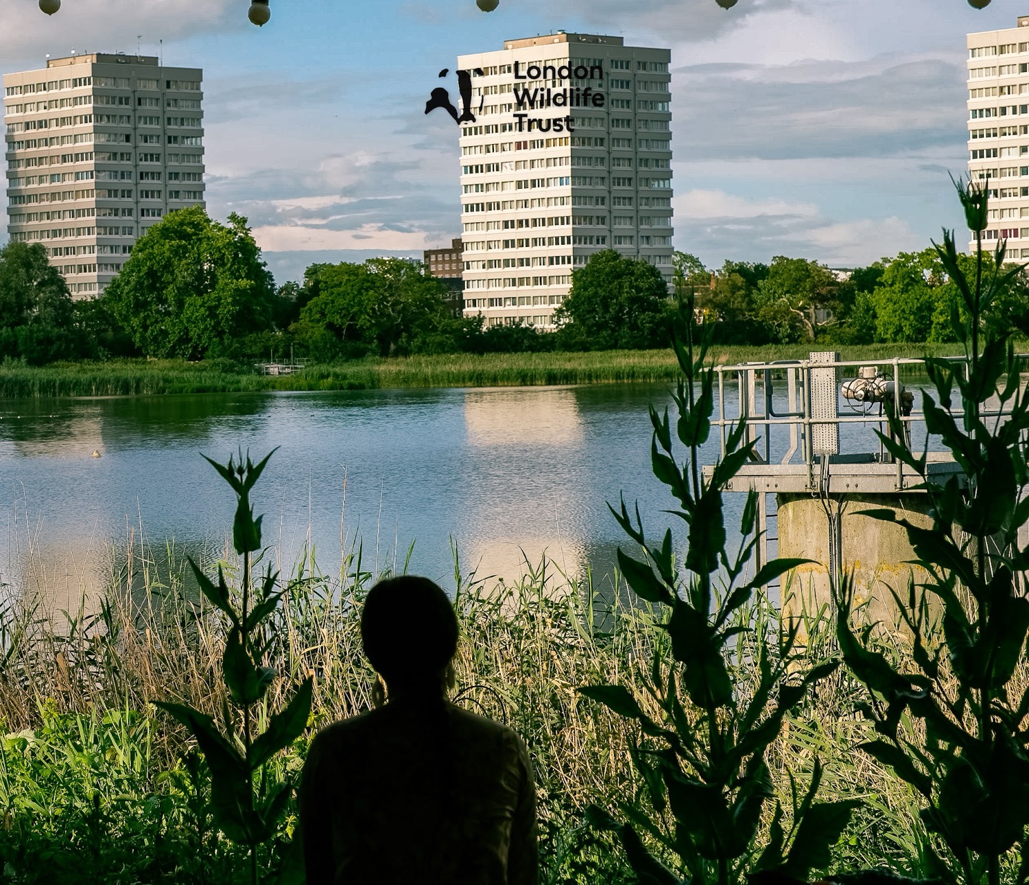 Looking out over the reservoir