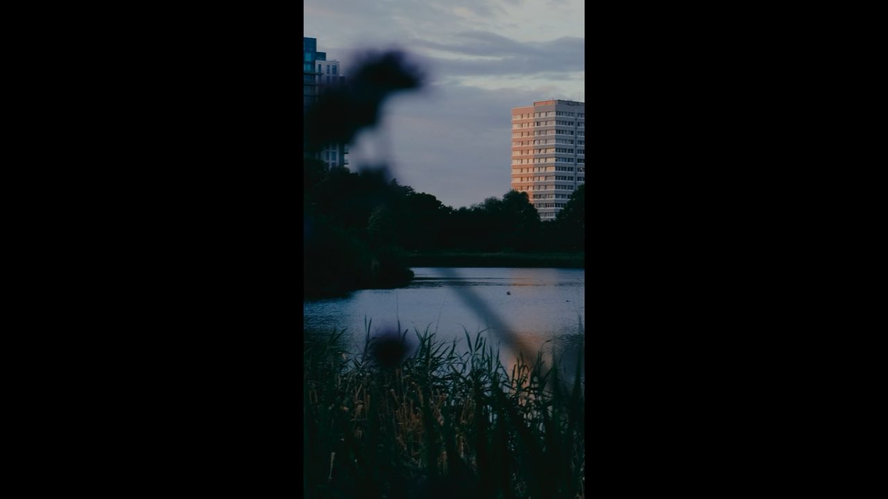 Woodberry Wetlands reel