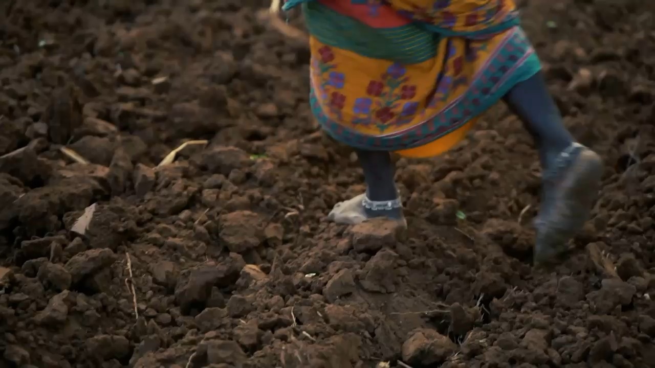 Bedstraw brand film still
